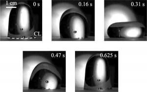 Wobbling Droplets İn Space Confirm Late Professor s Theory