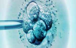 New Study Reveals The Safety of a Controversial 3-Parent Embryo Technique