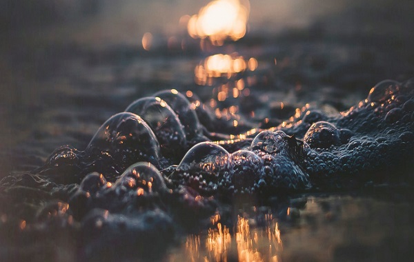 There s Trouble Bubbling Up in Newly Formed Alaskan Lakes, And Scientists Are Worried