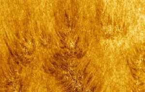 Stunning New Images Show The Face of The Sun Like We've Never Seen It Before