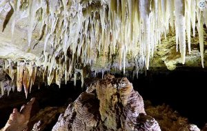 Fossil-Filled Australian Caves May Be 500,000 Years Older Than We Thought, Study Finds
