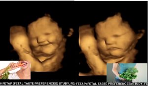 Hatred of green vegetables begins in the WOMB! 4D ultrasound scans reveal babies smile when their mum eats carrots - but grimace when she opts for kale