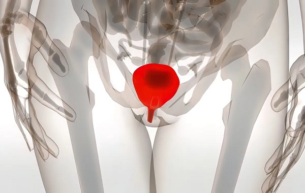 Female Squirting Is Mainly Made Up Of Urine, Study Finds