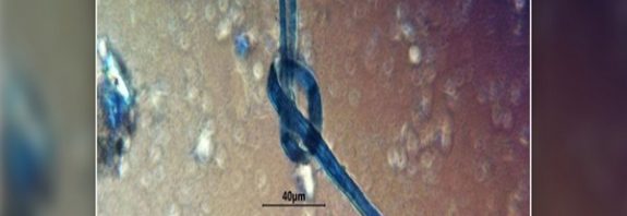 Human Sacrifices in The Midnight Terror Cave Had Strange Blue String in Their Teeth