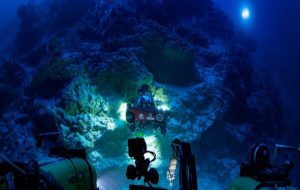Hidden Oasis of Life Discovered Deep Under The Ocean in The Maldives
