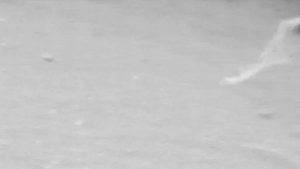 NASA Mars ta UFO Enkazı Buldu