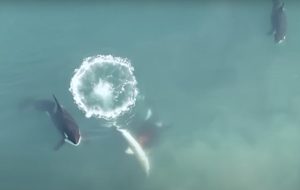 Okyanusların En Büyük