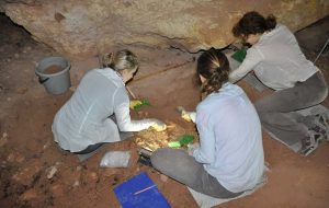 Çanakkalede 22 Bin 500