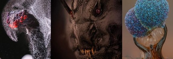 Ne Olduklarını Tahmin Edin! Küçük Dünyamızdan Sizi Şaşırtacak Ayrıntılı Görüntüler