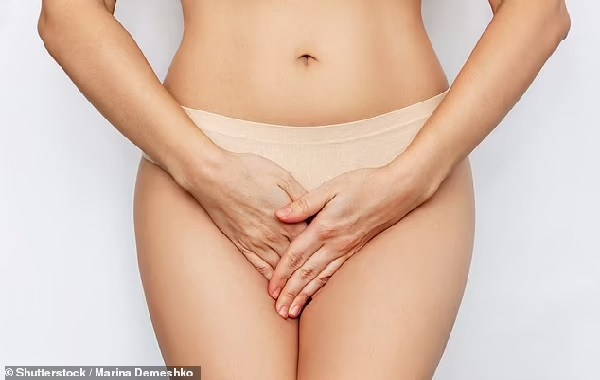 The clitoris is even more sensitive than we thought! Female erogenous zone contains over 10,000 nerve fibres - 20% more than previously estimated, study reveals