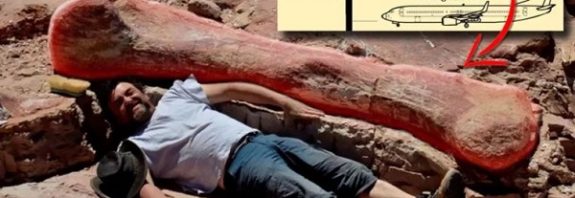 Dünyanın En Büyük Dinozor İskeletlerinden Biri Sergiye Hazırlanıyor
