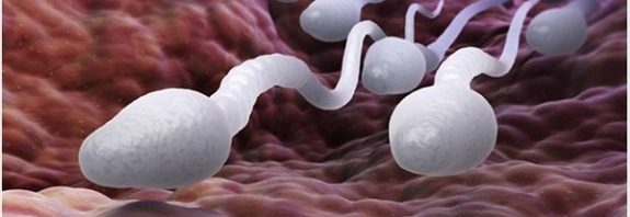 45 Yıldır Erkeklerin Sperm Kalitesini İnceleyen Bilim İnsanları Alarm Verdi
