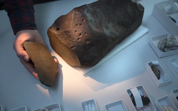 Altın Bulduğunu Zannederek Sakladığı Taş Çok Daha Değerli Çıktı