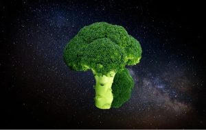 Brokoli