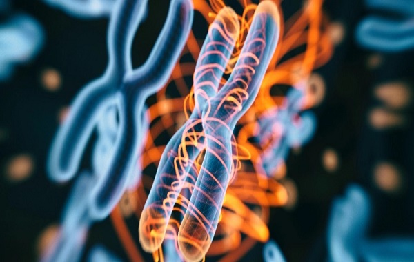 A Woman Had Cancer 12 Times by Age 36. Her Genes Showed Something Never Seen Before