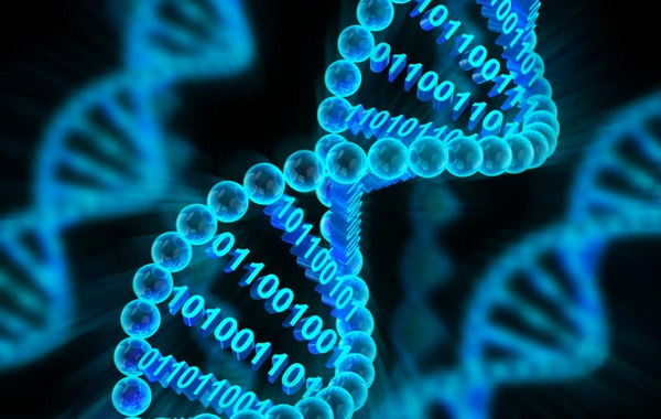 DNAda Depolanan Dijital Verileri Çıkarmanın Bir Yolunu Bulundu