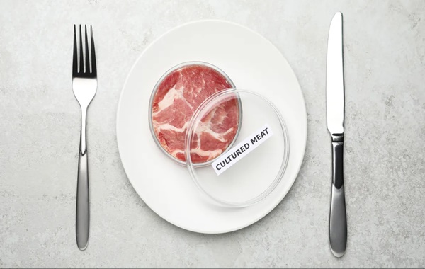 Tarihte İlk Kez Yapay