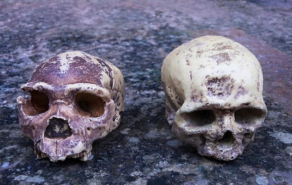 Ancient Footprints Place Humans In Spain 200,000 Years Earlier Than Thought