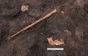 5.000 Yıllık Bataklık