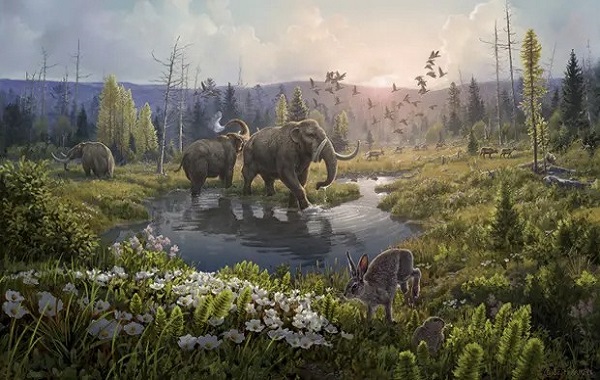 DNA from 2m years ago reveals lost Arctic world