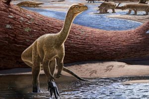 Dinozorlar Göktaşı Çarpmasından Hemen Önce Altın Çağlarını Yaşıyormuş