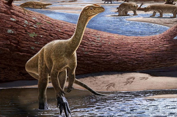 Dinozorlar Göktaşı Çarpmasından Hemen Önce Altın Çağlarını Yaşıyormuş