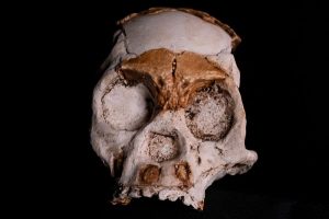 Homo Naledi 236.000 Yıl Önce Ateş Yakmış Olabilir