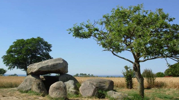 Researchers offer new interpretation of a 4,000-year-old cemetery