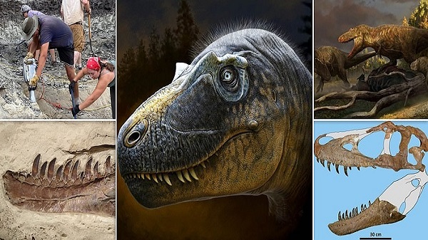 Dinozorların Asıl Kralı! 76.5 Milyon Yıllık Yeni Bir Tür Fosil Keşfedildi