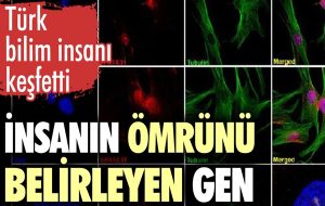Türk Bilim İnsanı Bekpen