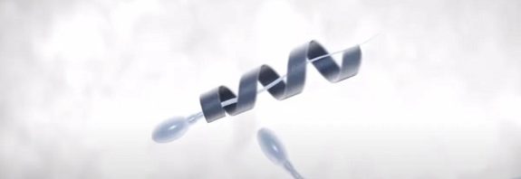 Nanobots Carry Sperm to Fertilize Living Eggs