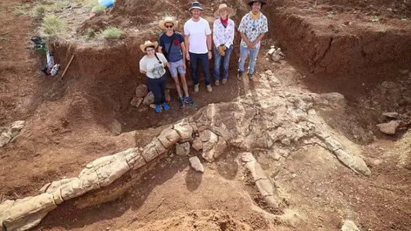 Avustralya da 100 Milyon Yıl Öncesine Ait 'Sürüngen' Fosili Bulundu