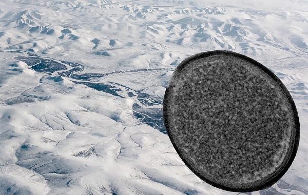 Biri Yaklaşık 50.000 Yıllık Olan 13 Donmuş Virüs Yeniden Diriltildi