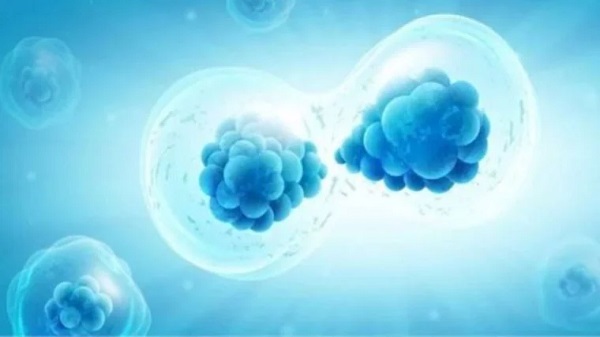 Genlerde Yeni Keşif