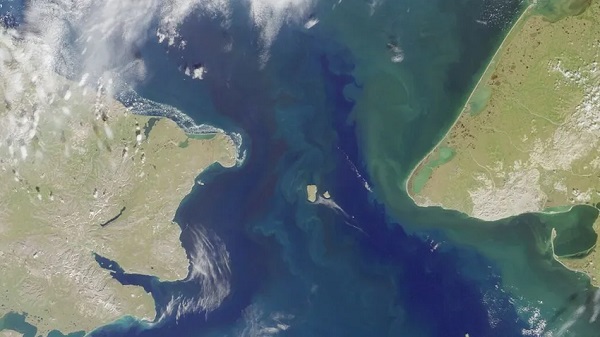 İnsan Genomları Kıtalar Arası Göç Yolunu Ortaya Çıkardı