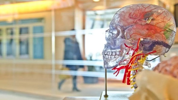 Bazı İnsanlar Neden Sağını Solunu Karıştırır?