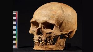 Sibirya’da Gizemli Bir Tarihöncesi Grup Keşfedildi