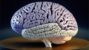 Ölüler Üzerinde Kafa Nakli Yaparak Tartışma Uyandıran Beyin Cerrahından Yeni Hamle