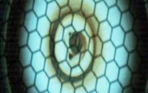 Physicists Used Sound Waves to Give a Tiny Sun Its Own Kind of Gravity