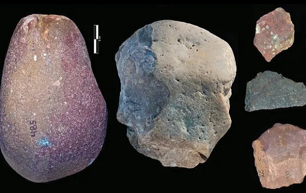 Discovery of 3m-year-old stone tools sparks prehistoric whodunnit
