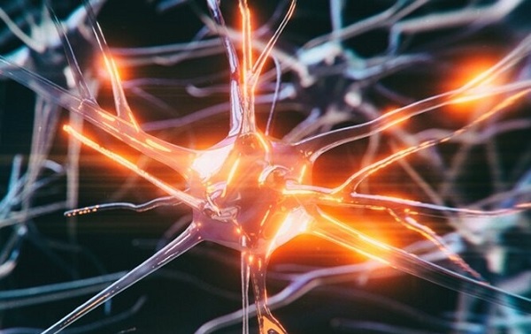 19 Yaşındaki Bir Gence Alzheimer Teşhisi Konuldu: En Genç Vaka Oldu