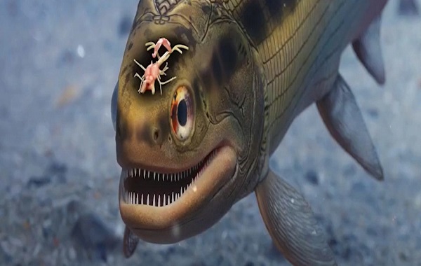 World s Oldest Fossil Vertebrate Brain Found In A 319 Million-Year-Old Fish