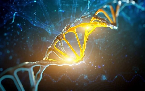 Study Finds 155 Tiny New Genes Evolving In Humans