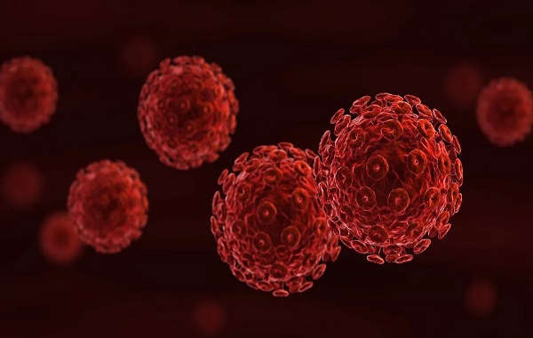 Fast-dissolving anal insert found safe for protecting against HIV