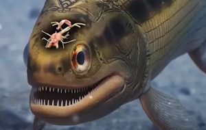 Tesadüfen Keşfedildi: 319 Milyon Yıllık Balığın Fosilleşmiş Beyni Bulundu