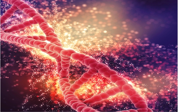 Yeni DNA Dizileme