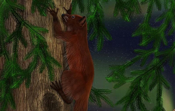 52 Milyon Yıl Önce