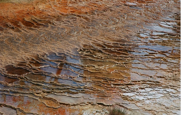 Dünyanın İlk Çevre