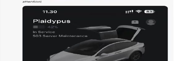 Tesla app crashes across Europe leaving frustrated drivers fearing they might not be able to open their cars without a keycard