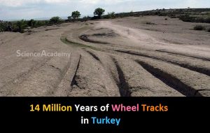14 Million Years of Wheel Tracks in Turkey